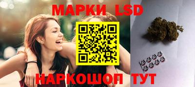 Альфа ПВП Канаш