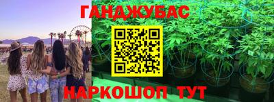 молекула духа Кандалакша