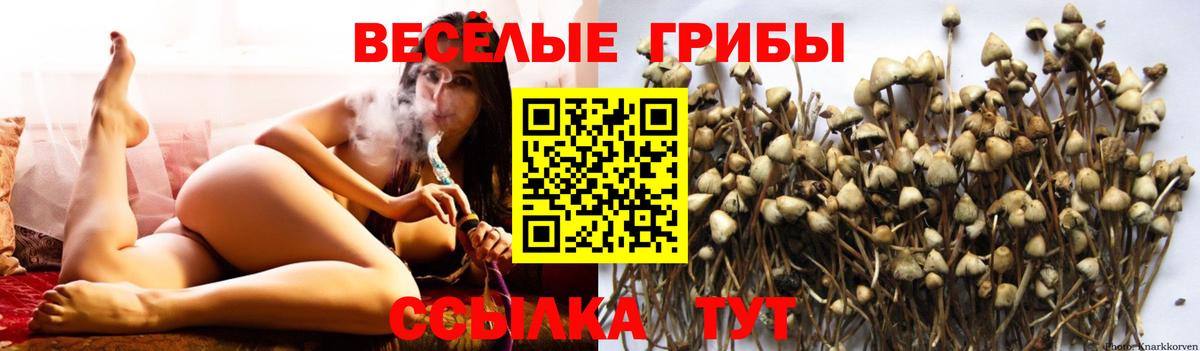 Североморск  Галлюциногенные грибы мицелий  Вход с VPN 