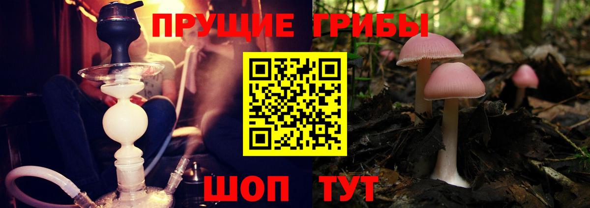 Псилоцибиновые грибы мухоморы Североморск