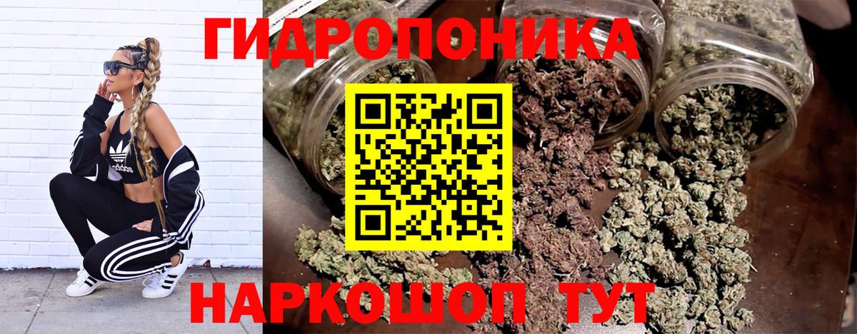 Конопля марихуана Североморск